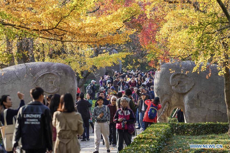 CHINA-NANJING-AUTUMN-XIAOLING MAUSOLEUM-SCENERY (CN)