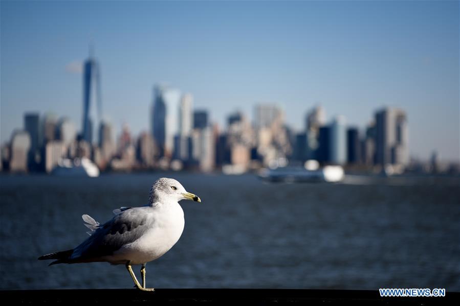 U.S.-NEW YORK-AUTUMN SCENERY