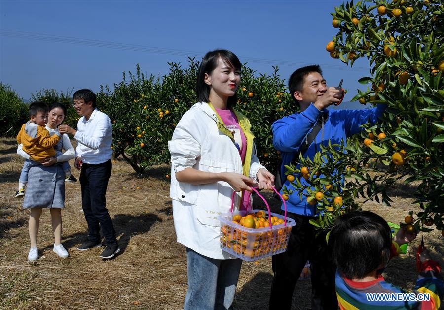 CHINA-FUJIAN-HARVEST-CELEBRATION (CN)