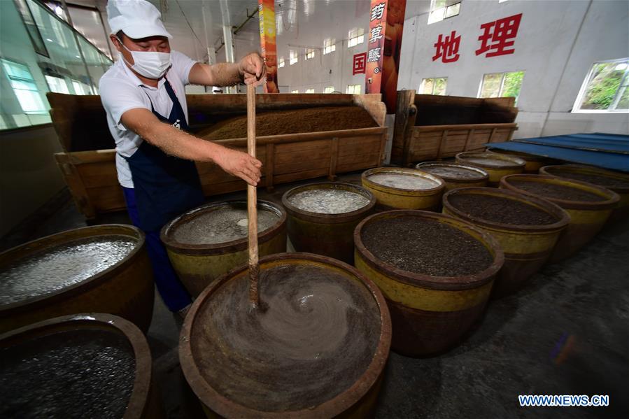 CHINA-GUIZHOU-VINEGAR MAKING (CN)