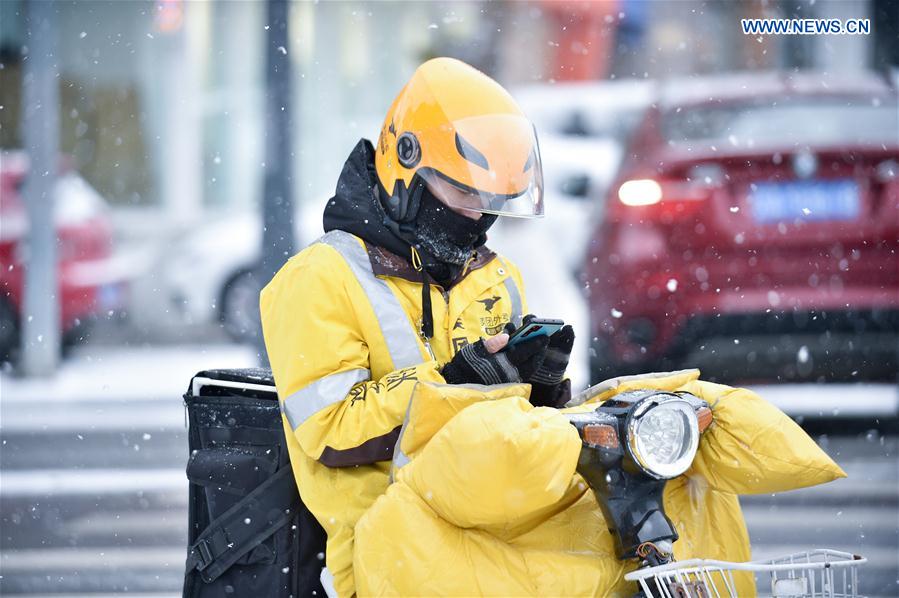 CHINA-JILIN-CHANGCHUN-SNOWFALL (CN)