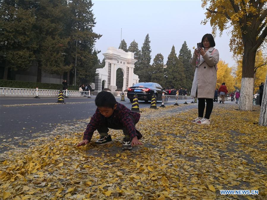 (BeijingCandid)CHINA-BEIJING-AUTUMN (CN)