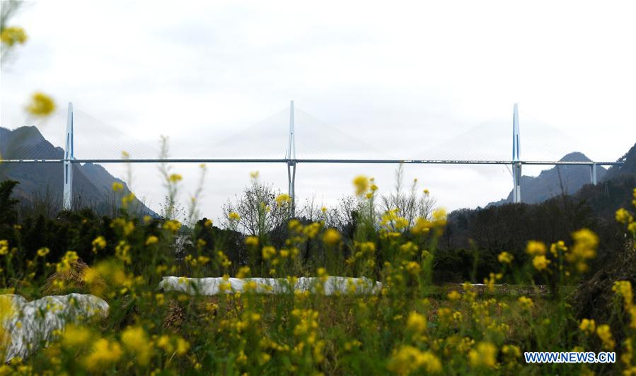 CHINA-GUIZHOU-PINGTANG-BRIDGE (CN)