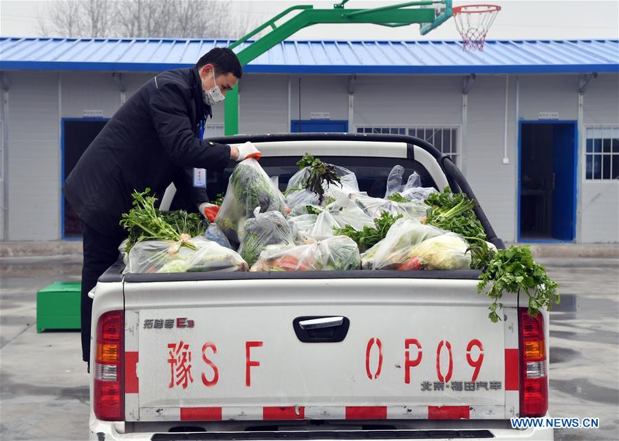 CHINA-HENAN-XINYANG-VEGETABLE SUPPLY (CN)