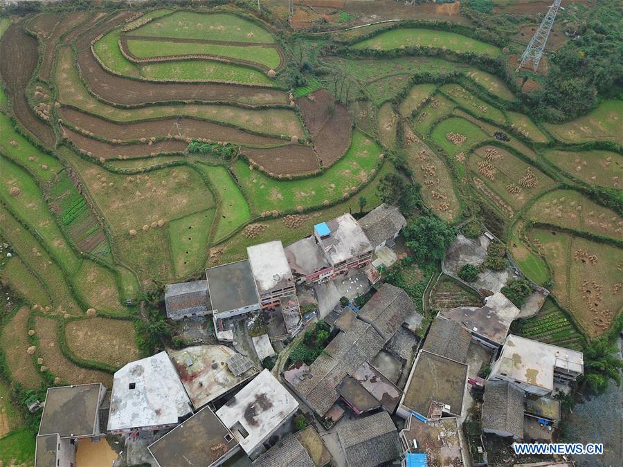 CHINA-GUIZHOU-ANSHUN-AUTUMN SCENERY (CN)