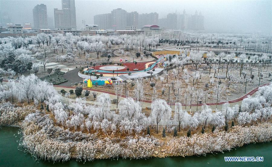 #CHINA-SHANXI-YUNCHENG-RIME SCENERY (CN)