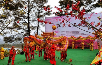 Peach blossom festival held in China's Guangxi to celebrate coming of spring