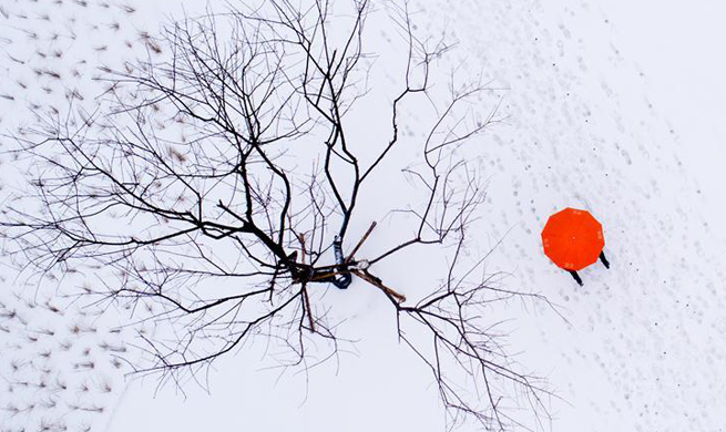 Snowfall hits Wuhan, C China