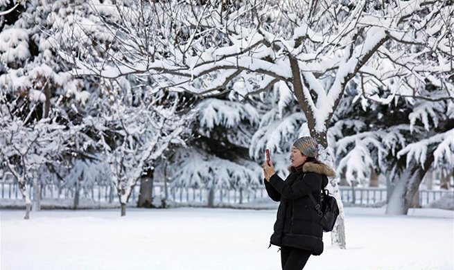 Snowfall and sleet hit east China's Shandong