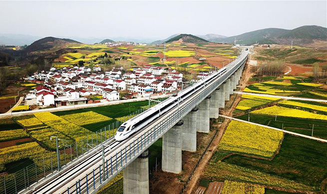 China to better balance environment protection, economic development