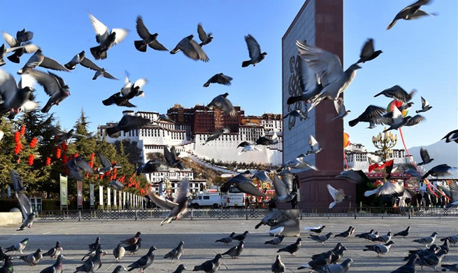 China Focus: Tibet marks 60th anniversary of democratic reform