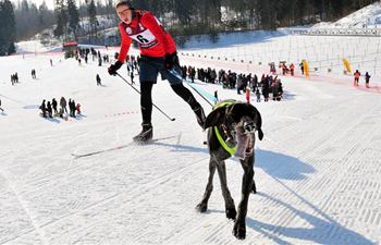 A look at Latvian sled dog winter championships 2018