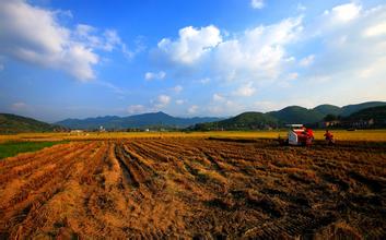 農(nóng)村土地制度改革試點(diǎn)意見出臺(tái)