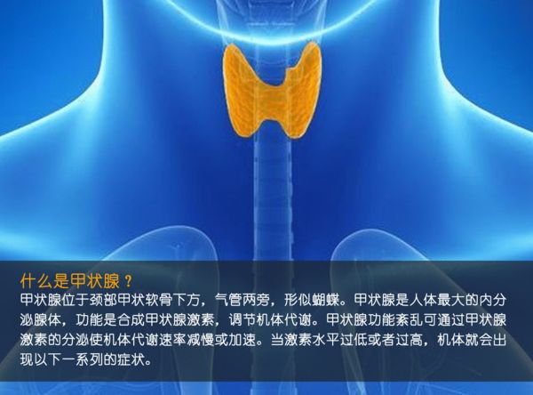 關(guān)注甲狀腺健康，你應(yīng)該知道的那些事