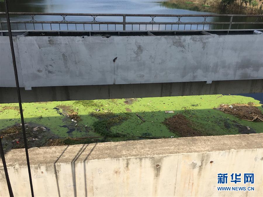 （新華視點(diǎn)·圖文互動）（2）上游洪水來襲下游魚蟹死亡，泄洪為何變泄污？