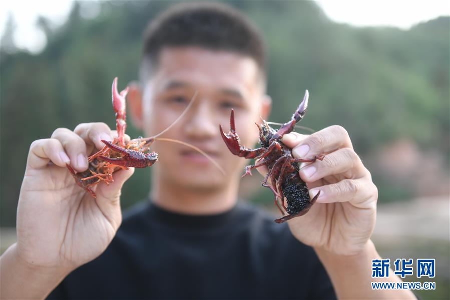 （在習(xí)近平新時(shí)代中國特色社會(huì)主義思想指引下·慶祝改革開放40周年·綠色發(fā)展·圖文互動(dòng)）（2）吹盡狂沙始到金——綠色發(fā)展之“金”的故事