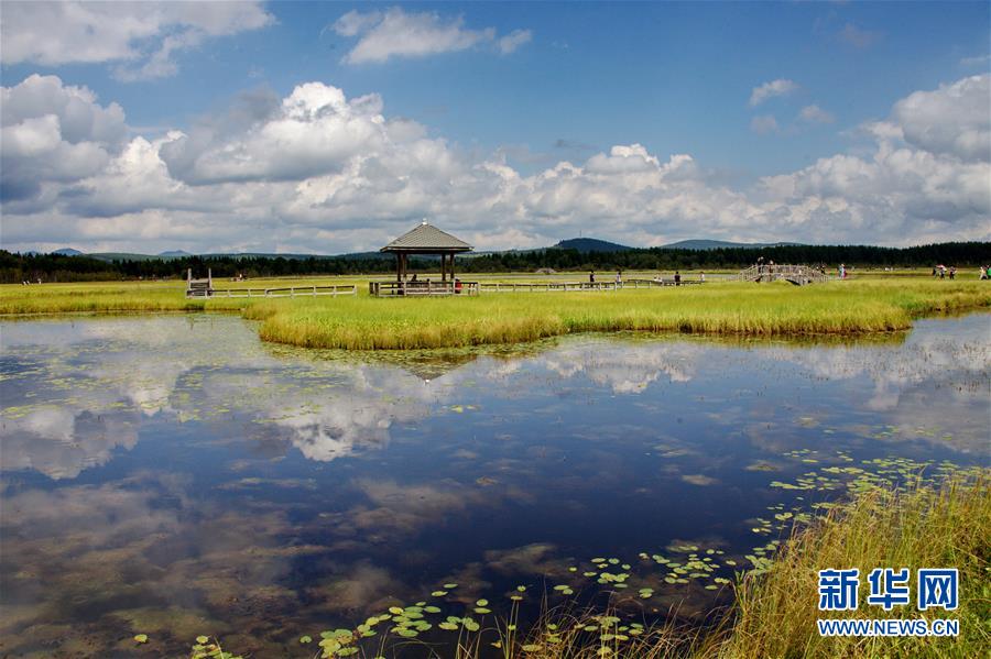 （新華全媒頭條·圖文互動(dòng)）（2）那一抹綠色，走進(jìn)越來(lái)越多人心里——河北塞罕壩續(xù)寫(xiě)新時(shí)代綠色傳奇