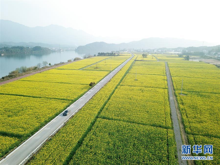 （新華全媒頭條·兩會(huì)精神看落實(shí)·圖文互動(dòng)）（4）保持戰(zhàn)略定力 跨越重要關(guān)口——落實(shí)兩會(huì)精神加強(qiáng)生態(tài)文明建設(shè)述評