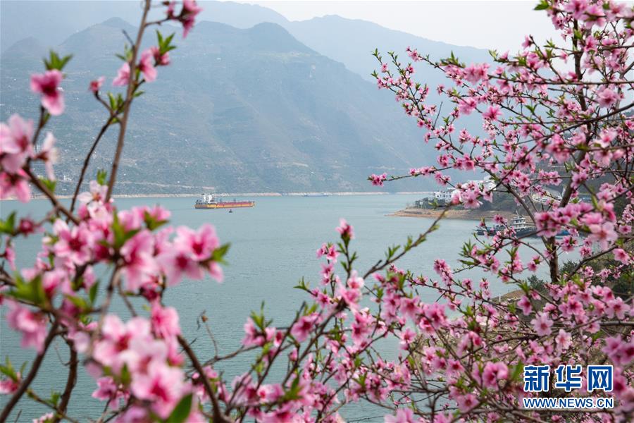 （新華全媒頭條·兩會(huì)精神看落實(shí)·圖文互動(dòng)）（5）保持戰(zhàn)略定力 跨越重要關(guān)口——落實(shí)兩會(huì)精神加強(qiáng)生態(tài)文明建設(shè)述評