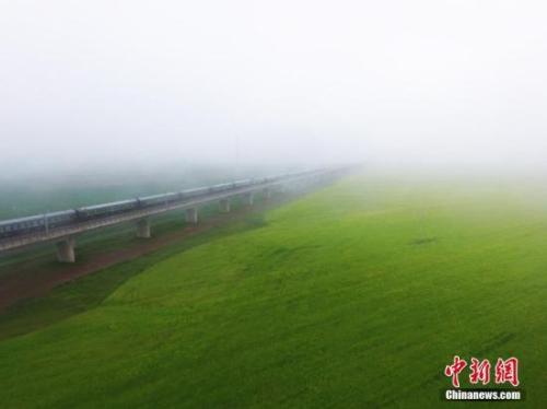 資料圖：動(dòng)車組穿越雨霧中的油菜花海宛若穿越時(shí)空。 楊艷敏 攝