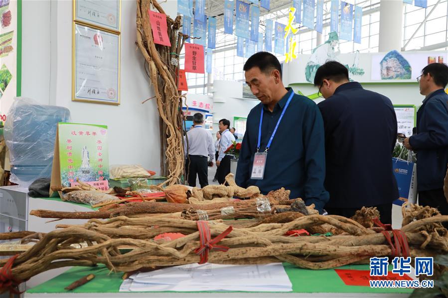 （來自一線的調查報告·圖文互動）（1）甘肅：岐黃肇始地 振興開新方