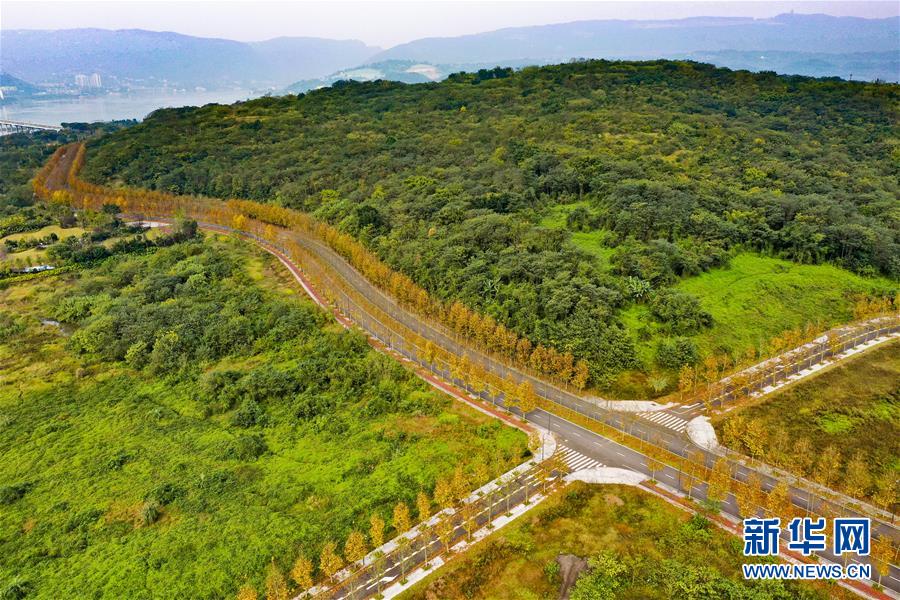 （四中全會精神在基層·圖文互動）（1）一江碧水串起綠色島鏈——重慶江心島“生態(tài)留白”調(diào)查