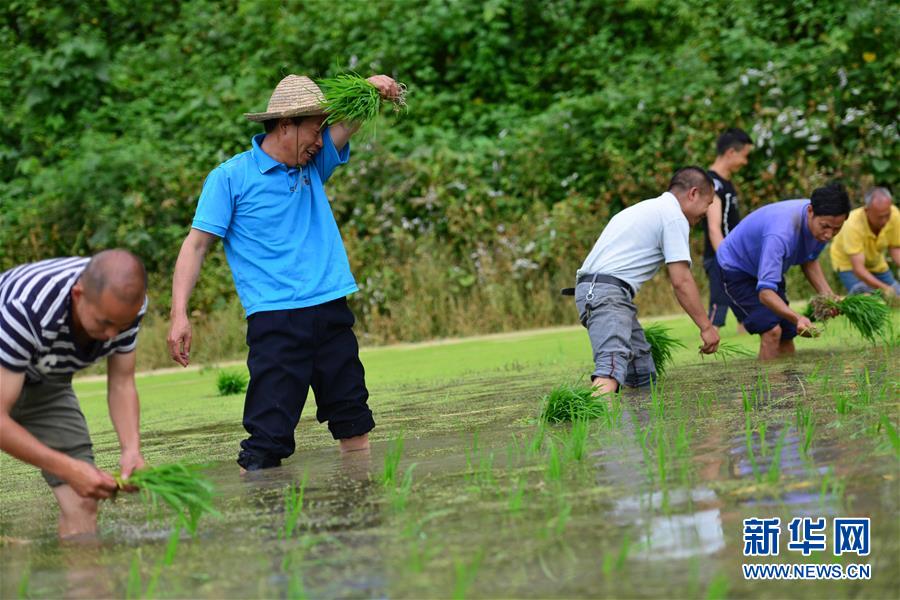 （新華全媒頭條·圖文互動(dòng)）（8）干部去哪兒了？——貴州干部大規(guī)模下沉脫貧攻堅(jiān)一線紀(jì)實(shí)