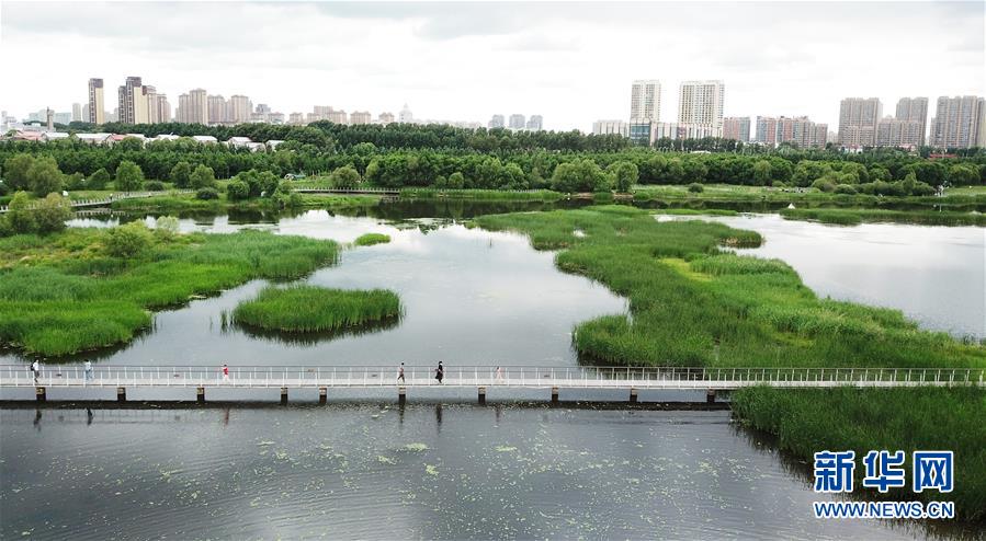 （走向我們的小康生活·圖文互動）（1）水清、地綠、空氣新——最北省份黑龍江繪就生態(tài)治理新畫卷