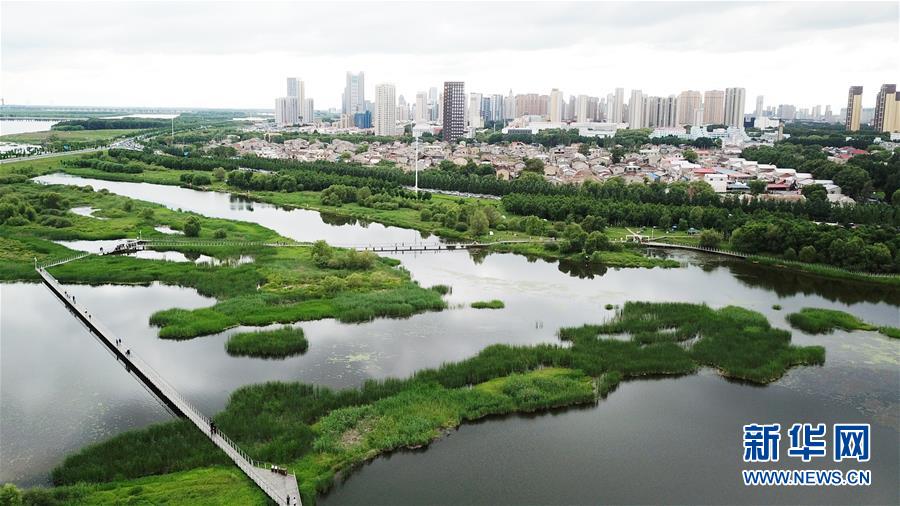 （走向我們的小康生活·圖文互動）（2）水清、地綠、空氣新——最北省份黑龍江繪就生態(tài)治理新畫卷