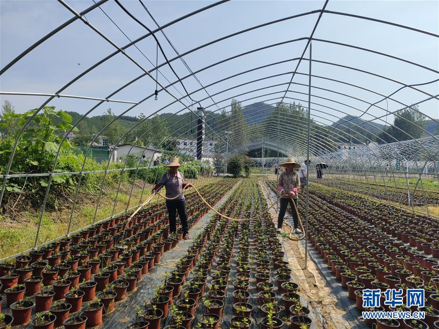 （決戰(zhàn)決勝脫貧攻堅(jiān)·圖文互動）（3）安居樂業(yè)并重，搬遷脫貧同步——湖北88萬搬遷群眾脫貧觀察 