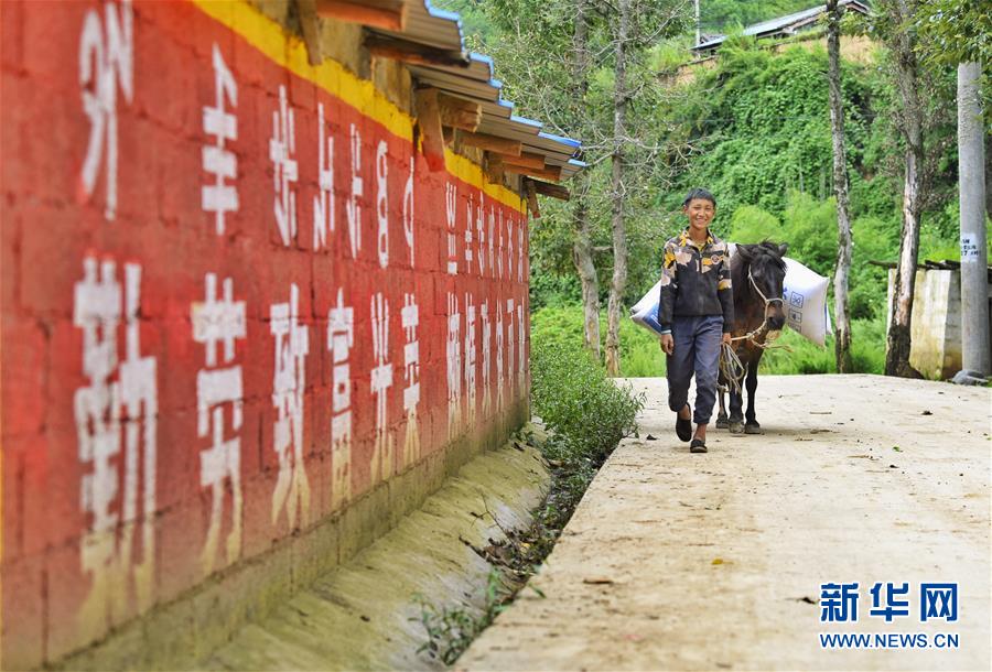 （新華全媒頭條·決戰(zhàn)決勝脫貧攻堅(jiān)·督戰(zhàn)未摘帽貧困縣·圖文互動(dòng)）（6）苦蕎花開(kāi)大涼山——四川7個(gè)未摘帽縣脫貧攻堅(jiān)一線(xiàn)觀(guān)察