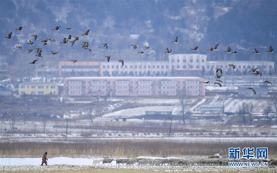 （新華全媒頭條·走向我們的小康生活·圖文互動）（14）黑土地上是我家——在吉林，一瞥中國東北鄉(xiāng)村美麗未來