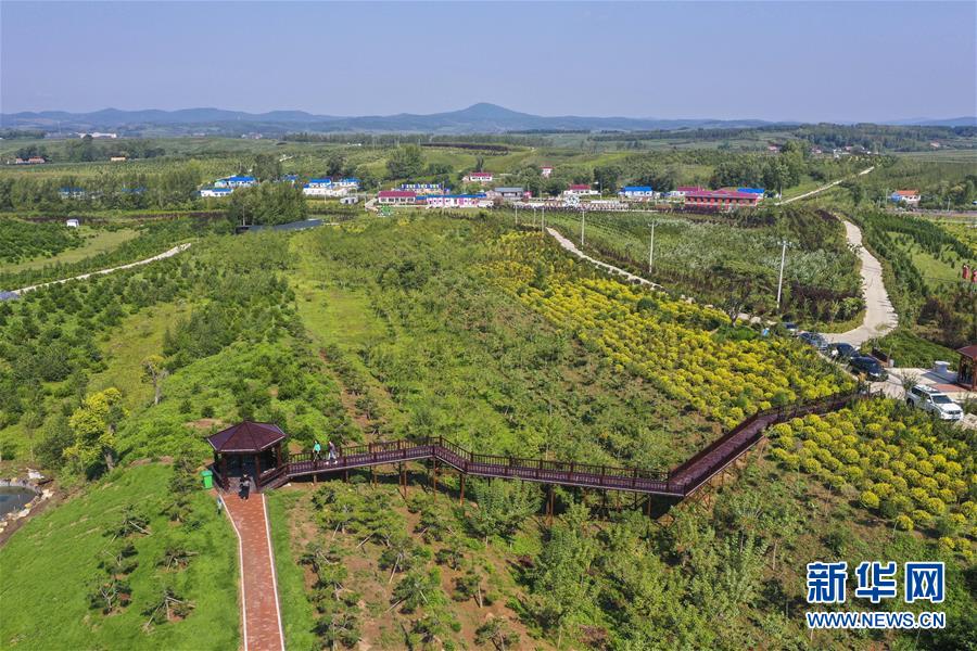 （新華全媒頭條·走向我們的小康生活·圖文互動）（16）黑土地上是我家——在吉林，一瞥中國東北鄉(xiāng)村美麗未來