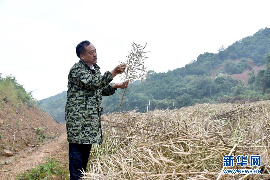 （代表委員履職·圖文互動）（1）“我是農民代表，始終關注農村”——全國人大代表沈昌健的履職故事