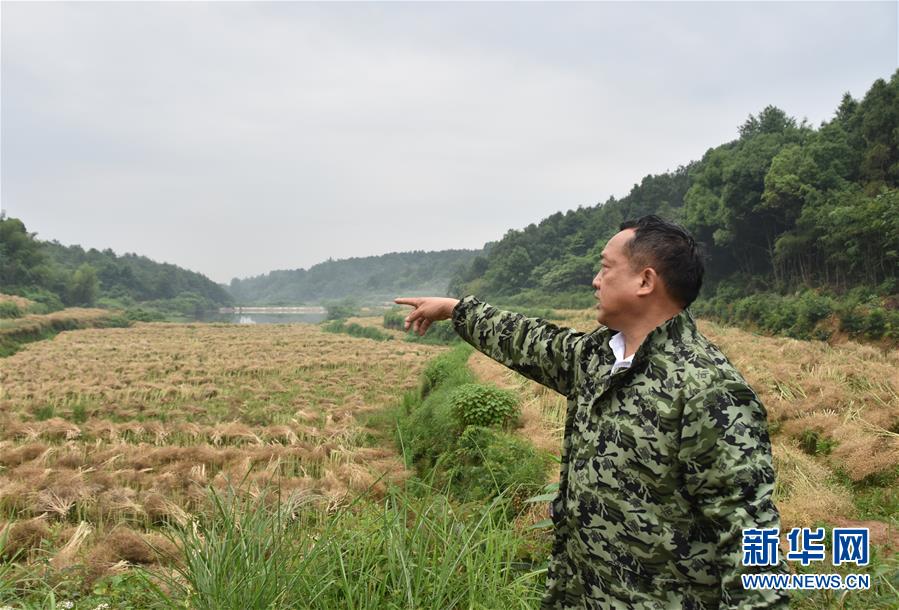 （代表委員履職·圖文互動）（2）“我是農民代表，始終關注農村”——全國人大代表沈昌健的履職故事