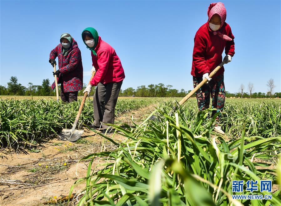 （新華全媒頭條·圖文互動）（17）從人民中汲取磅礴力量——習近平總書記同出席2020年全國兩會人大代表、政協(xié)委員共商國是紀實