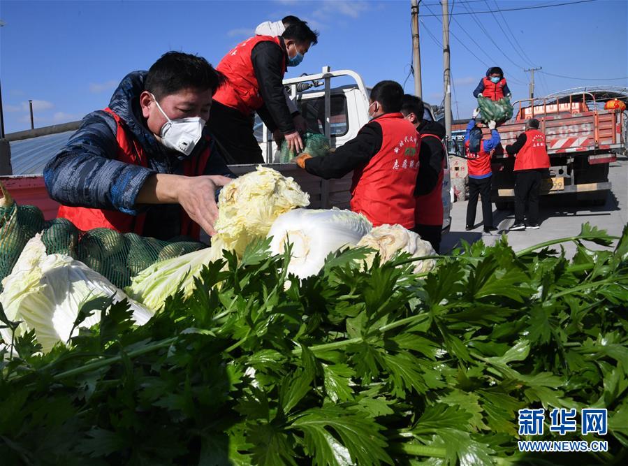 （在習近平新時代中國特色社會主義思想指引下——新時代新作為新篇章·習近平總書記關(guān)切事·圖文互動）（2）“菜籃子”里的力量——全國各地努力做好保障和改善民生工作在行動