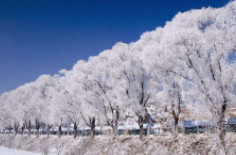 全國(guó)初雪時(shí)間表出爐 看看你離初雪還有多遠(yuǎn)？