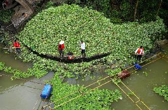 廣西柳州清理水浮蓮保護水環(huán)境